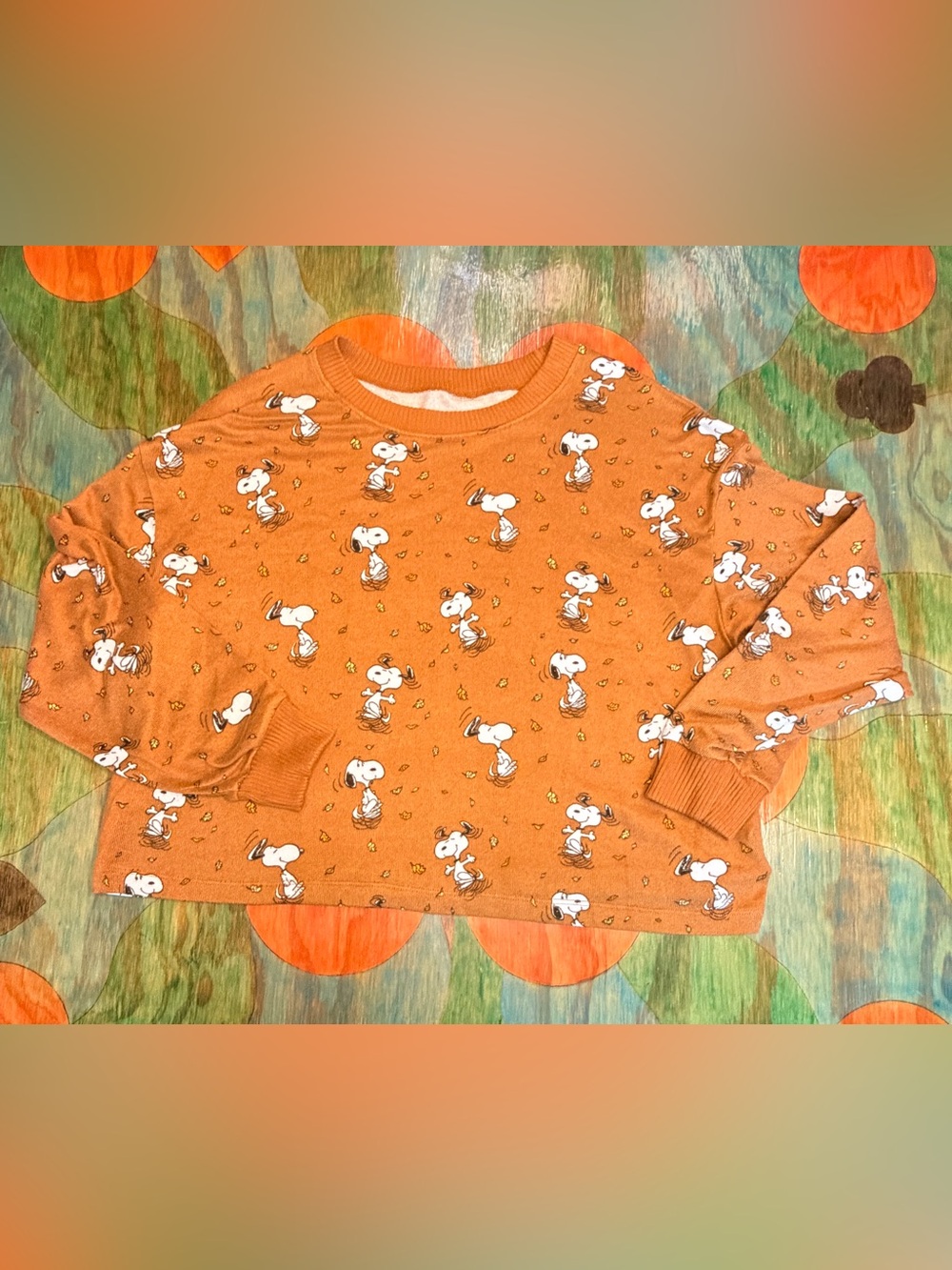 American Eagle Pajama Top Womens Brown Snoopy Pullover Graphic Stretch Medium Po